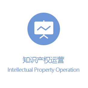 Intellectual Property Operations