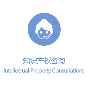 Intellectual Property Consultation